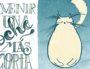 Reflexiones de una gata vieja, gorda y falta de un diente